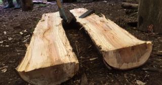 Splitting large logs to make the seat