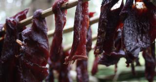 Venison jerky drying over the campfire