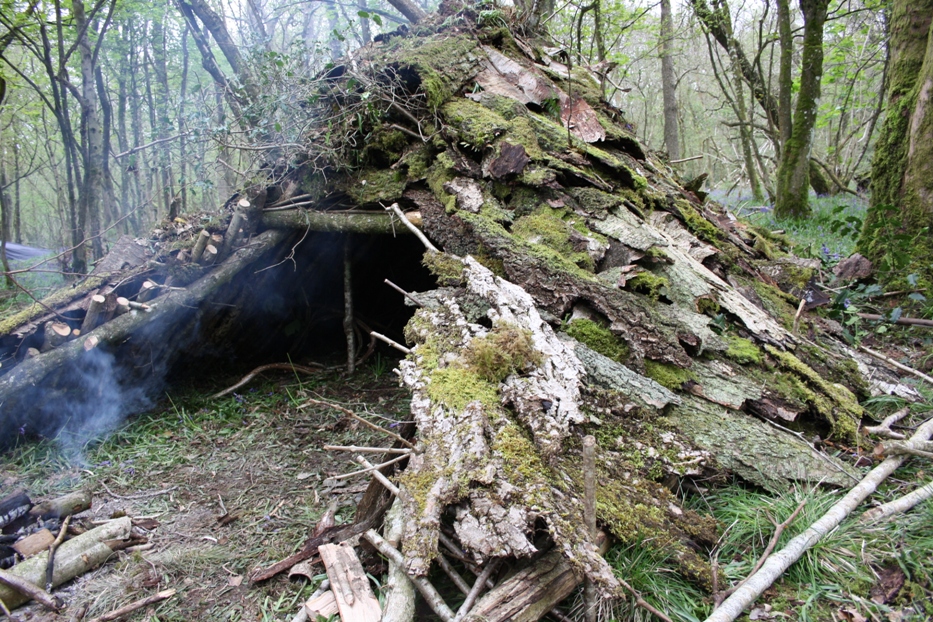 bark-shelter-in-the-woods.jpg